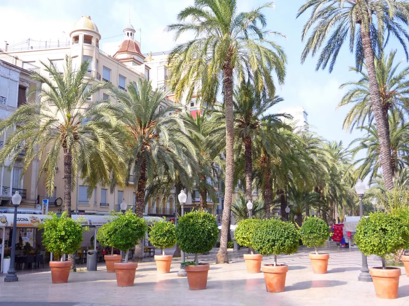 Palmy i falująca mozaika na Explanada de España w Alicante