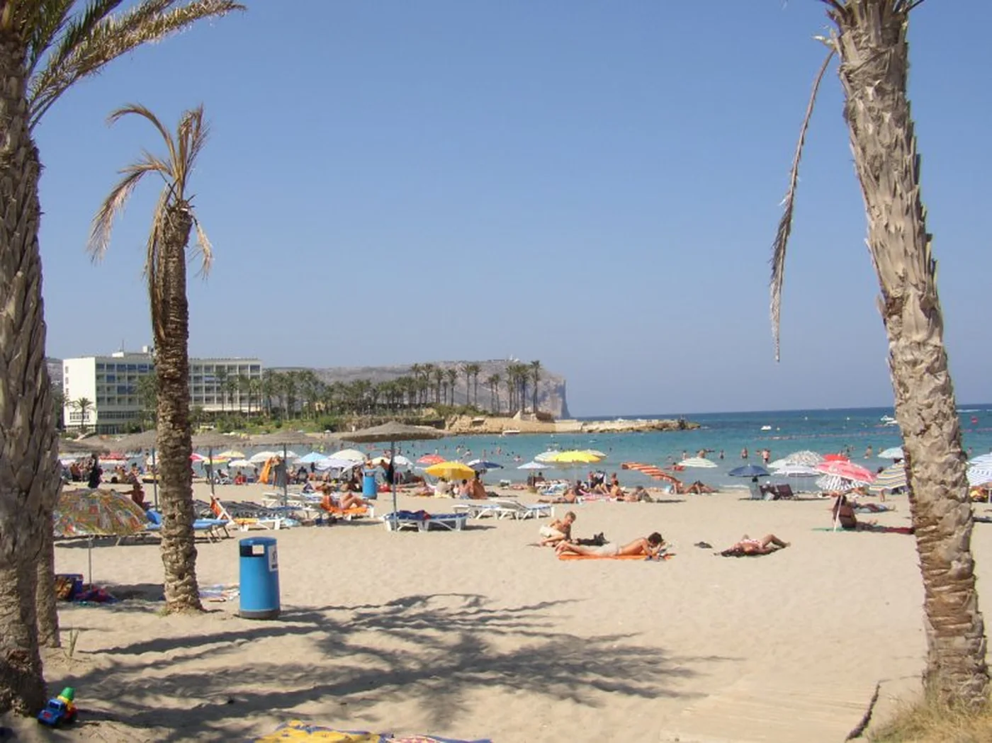Plaża Arenal w Jávei z palmami na pierwszym planie i przylądkiem San Antonio w tle