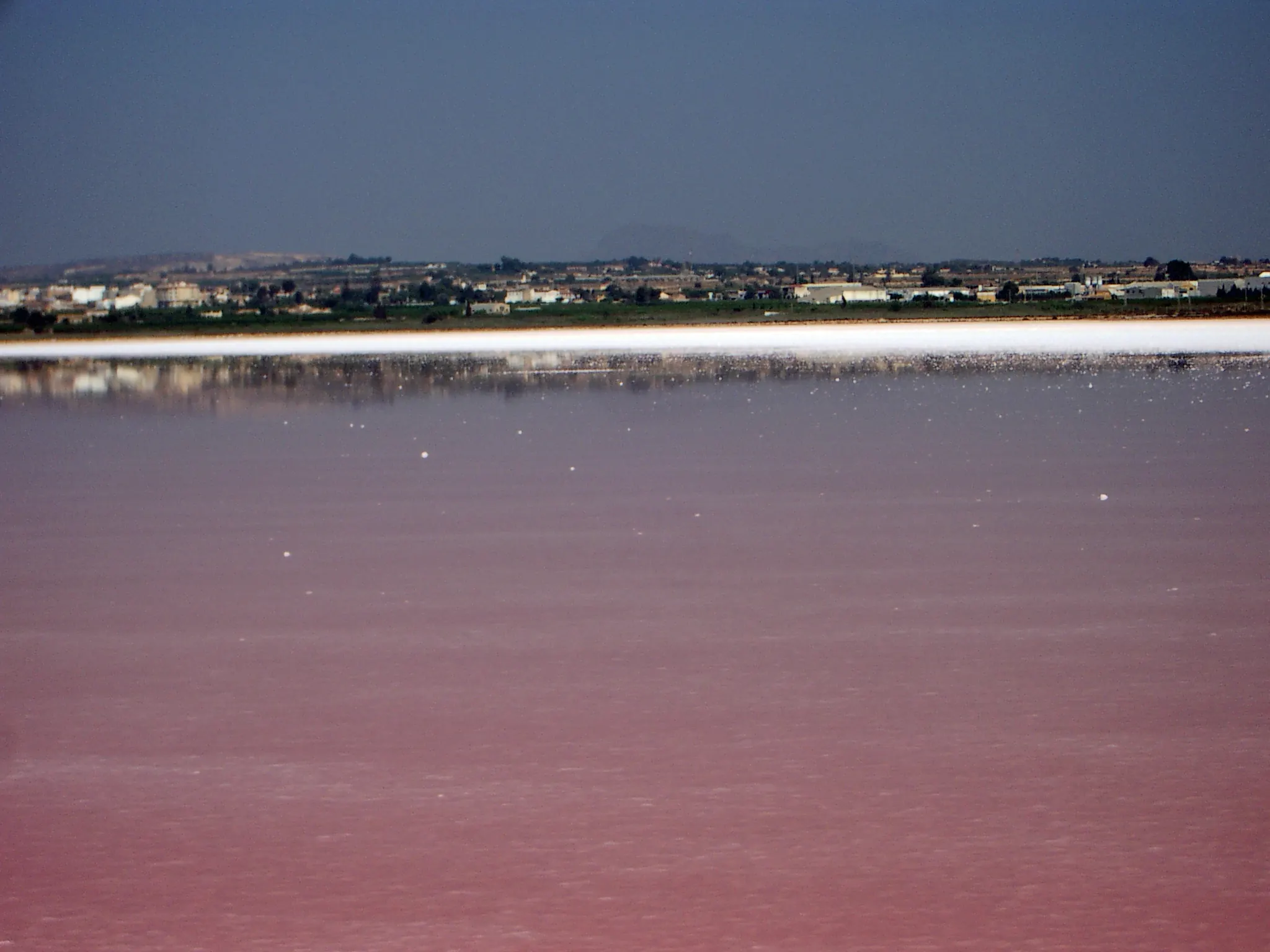 Różowa woda laguny solnej w Torrevieja